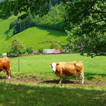 Ziegelhof Apartment Schuttertal Екстериор снимка