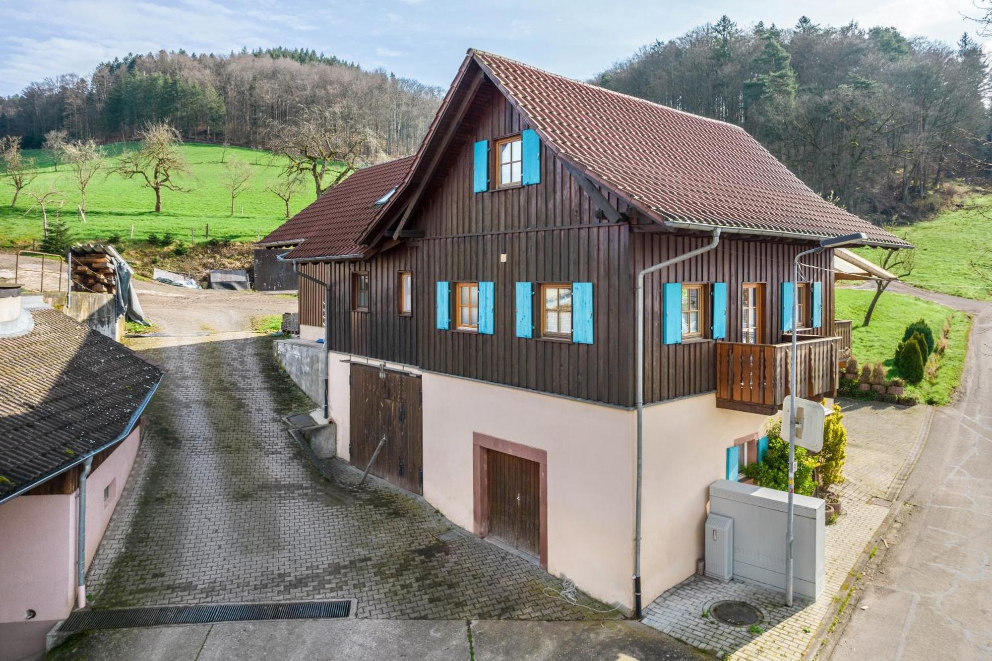 Ziegelhof Apartment Schuttertal Екстериор снимка