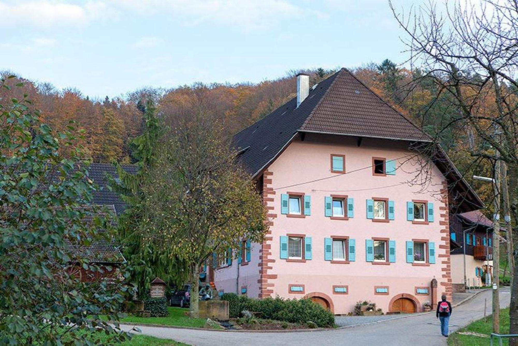 Ziegelhof Apartment Schuttertal Екстериор снимка