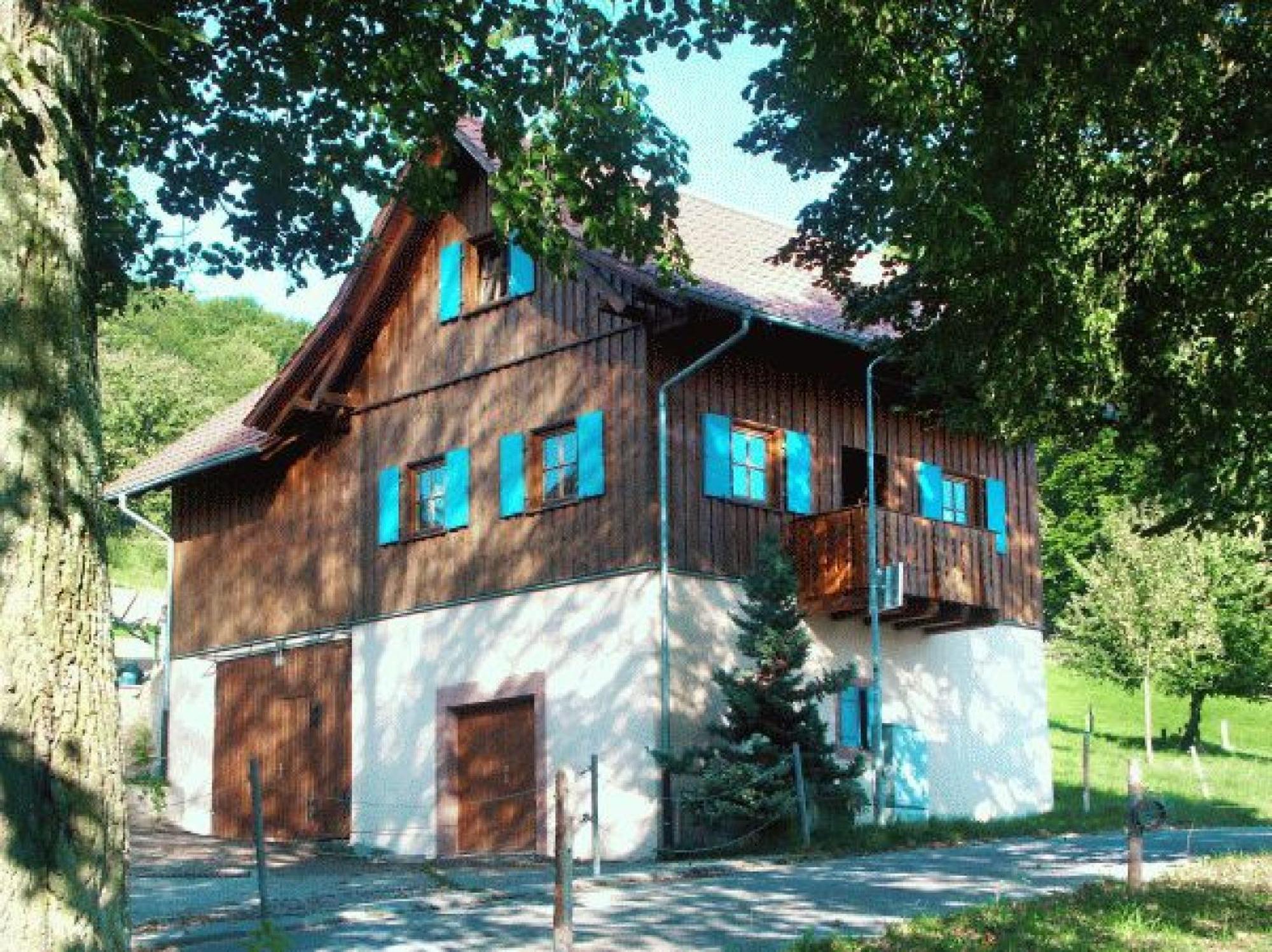 Ziegelhof Apartment Schuttertal Екстериор снимка